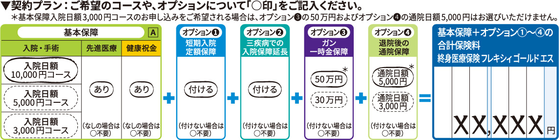 契約申込書のご記入方法 契約申込書 告知書 ご記入ガイド メットライフ生命